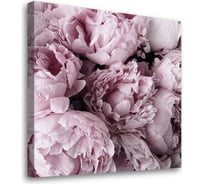 Картина-постер Студия фотообоев розовые пионы 50x50 см 2336636