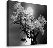 Картина-постер Студия фотообоев одинокое дерево 50x50 см 2336650