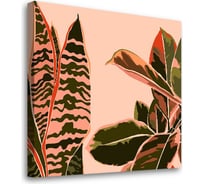 Картина-постер Студия фотообоев сансевиерия 50x50 см 2336649