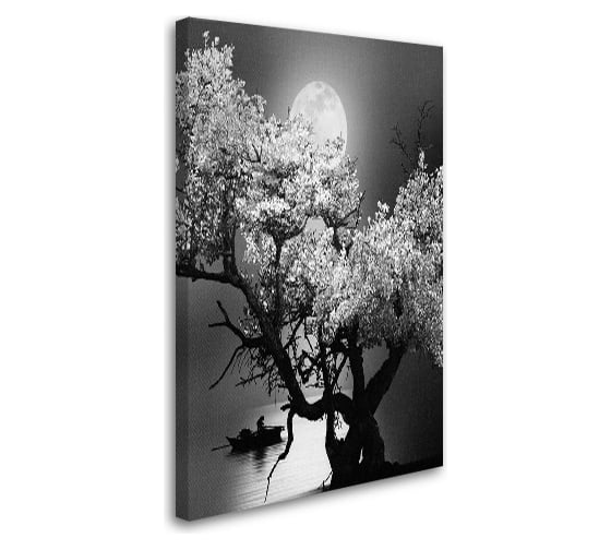 Картина-постер Студия фотообоев одинокое дерево 75x120 см 2436650 1