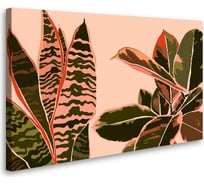 Картина-постер Студия фотообоев сансевиерия 120x75 см 2536649
