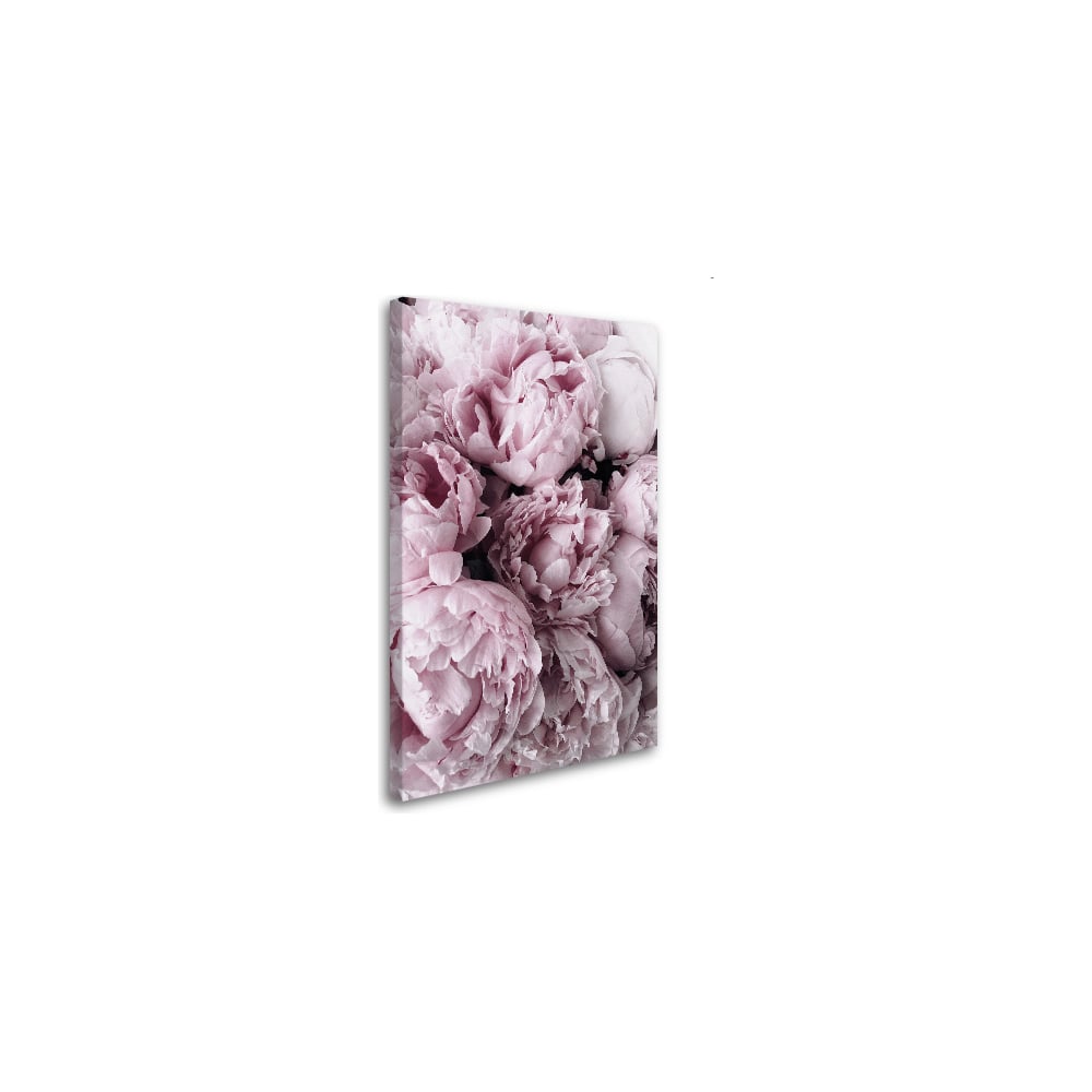 Картина-постер Студия фотообоев розовые пионы 50x80 см 2136636 ...