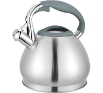 Чайник из нержавеющей стали TAVOLONE FOSSA 3 л 800-251 806818353478