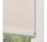 Рулонная штора PRAKTO Easy 75x250 см, белый 8316461 6