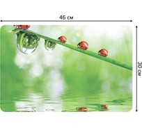 Набор прямоугольных тканевых салфеток для сервировки стола JOYARTY строй божьих коровок, плейсмат, 30x46 см, 4 шт. ser002_16753_30x46