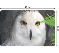 Набор прямоугольных тканевых салфеток для сервировки стола JOYARTY мудрая сова, плейсмат, 30x46 см, 4 шт. ser002_23718_30x46