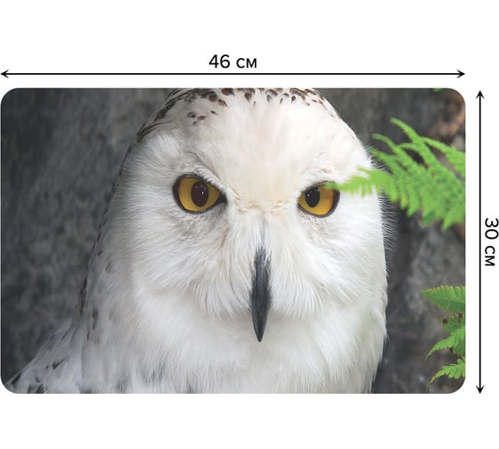 Набор прямоугольных тканевых салфеток для сервировки стола JOYARTY мудрая сова, плейсмат, 30x46 см, 4 шт. ser002_23718_30x46 1