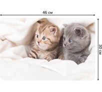 Набор прямоугольных тканевых салфеток для сервировки стола JOYARTY милые кошечки, плейсмат, 30x46 см, 4 шт. ser002_30106_30x46