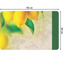 Набор прямоугольных тканевых салфеток для сервировки стола JOYARTY лимонное дерево, плейсмат, 30x46 см, 4 шт. ser002_7147_30x46