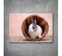Картина на стекле для интерьера ООО Оптион КРОЛИК В КОРЗИНКЕ 40x60 см 83358