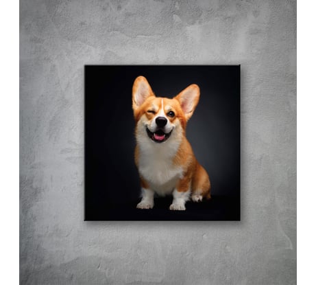 Картина на стекле для интерьера ООО Оптион ИГРИВАЯ КОРГИ 40x40 см 83356