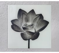 Картина на стекле для интерьера ООО Оптион ЦВЕТЫ ЧБ 2 40x40 см 84044