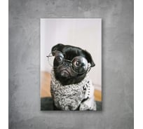Картина на стекле для интерьера ООО Оптион СОБАКА В ОЧКАХ 40x60 см 83361