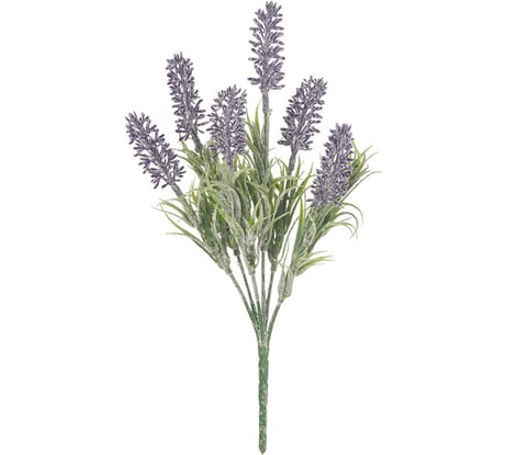 Лаванда Вещицы, В300, сиреневый E4-247S