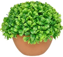 Декоративный базилик в кашпо Вещицы Lemax PROF зеленый Rio15