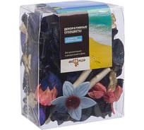 Набор сухоцветов из натуральных материалов Вещицы с ароматом морского бриза, Д95 Ш60 В120, короб YW-SUH45