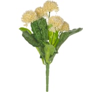 Бархатцы Вещицы, В280, белый E4-237