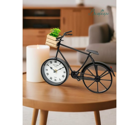 Часы Вещицы велосипед с суккулентом, 280х90х220, черный Fancy48