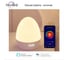 Часы-ночник Nitebird с будильником Baby Night Light LB2 3
