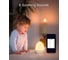 Часы-ночник Nitebird с будильником Baby Night Light LB2 6