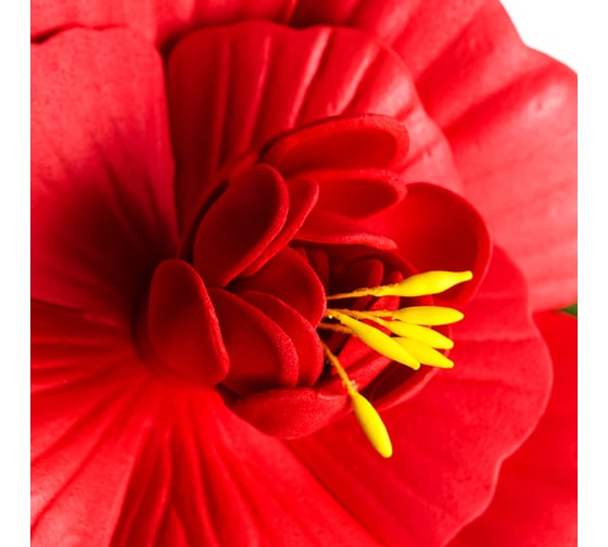 Декоративная роза для пруда Inbloom ПВХ, 10 см, 6 цветов 171-001