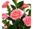Искусственное растение INBLOOM Роза китайская розовая 70 см 008-008 2