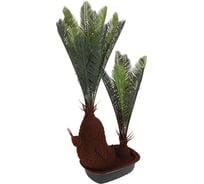 Искусственное растение INBLOOM Финиковая пальма 80 см 008-010