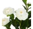 Искусственное растение INBLOOM Роза китайская белая 70 см 008-009 3
