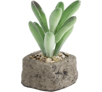 Декоративное искусственное растение Феникс-Презент Magic Home Свежесть из полиэтилена в кашпо из бетона 12х5.5х5.5см 88212