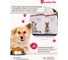 Контейнер для корма с декором Бытпласт lucky pet 2.3 л, собаки, бордовый 434211421 7