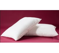 Подушка Arya Home arya 50x70, invista белый 8680943228215