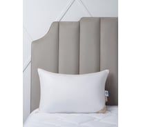 Подушка Arya Home arya 50x70, из гусиного пуха, deluxe line glory белый 8680943213365