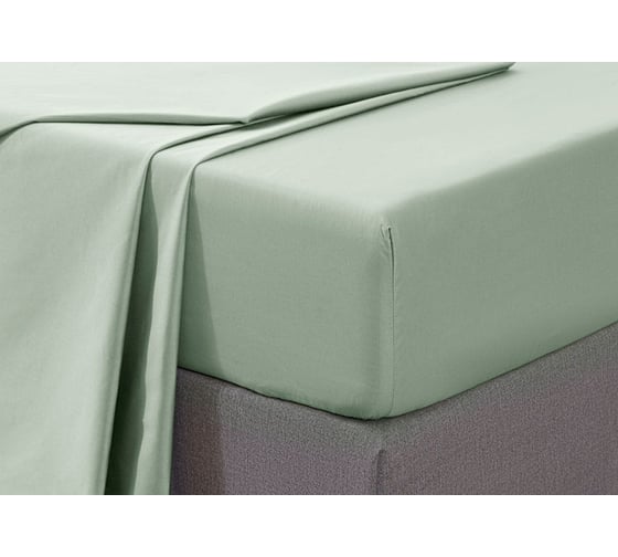 Хлопковая простынь Arya Home arya 160x200+33, camino мятный 8680943108531
