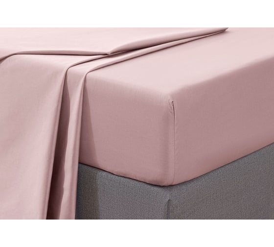 Хлопковая простынь Arya Home arya 160x200+33, camino пудровый 8680943108555