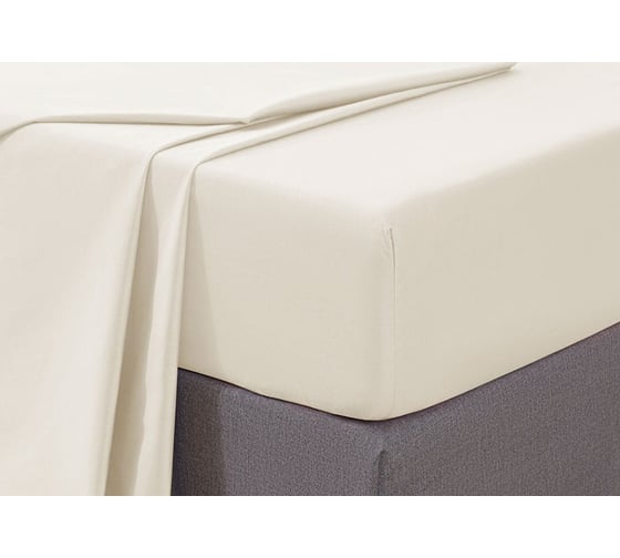 Хлопковая простынь Arya Home arya 160x200+33, camino экрю 8680943108548