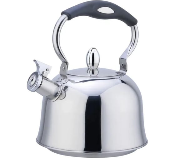 Металлический чайник Rainstahl со свистком 3.5 л RS\WK 7611-35 х12 7611-35 RS\WK 1