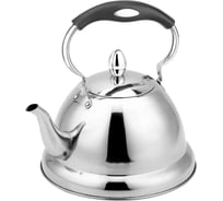 Металлический чайник Rainstahl без свистка 3 л RS\WK 7624 -30 BK х12 7624-30 BK RS\WK