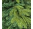 Ель Royal Christmas ARKANSAS PREMIUM HINGED 180 см 291180 3