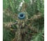 Ель Royal Christmas ARKANSAS PREMIUM HINGED 240 см 291240 4