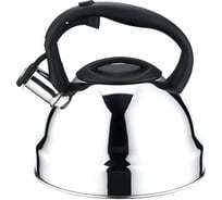 Чайник PERFECTO LINEA со свистком 3.5 л Rich Camomile 52-335002