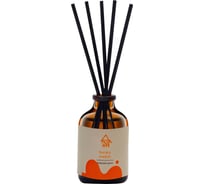 Аромат для дома ARIDA HOME Медовая дыня 50 мл АР 100-049