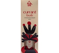 Аромат для дома ARIDA HOME Смородиновый куст 50 мл АР 100-086К