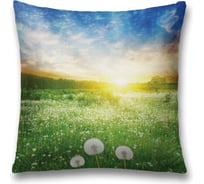 Декоративная наволочка JoyArty sl_29322