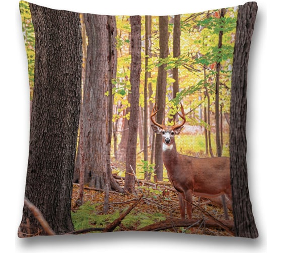 Декоративная наволочка JoyArty sl_8206 1