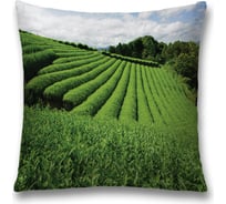 Декоративная наволочка JoyArty sl_8230