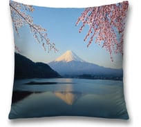 Декоративная наволочка JoyArty sl_8295