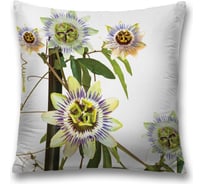 Декоративная наволочка JoyArty sl_8649