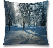 Декоративная наволочка JoyArty sl_30325