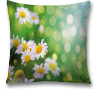 Декоративная наволочка JoyArty sl_30348