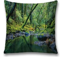 Декоративная наволочка JoyArty sl_8612